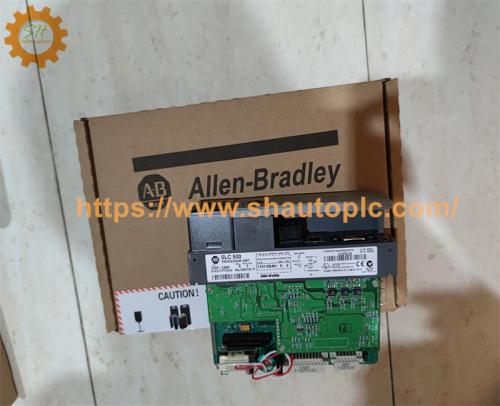 Allen Bradley 1794-OW8