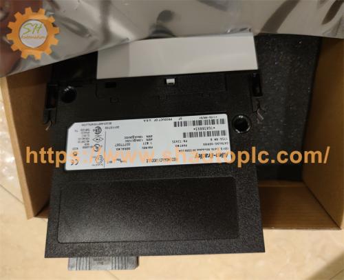 Allen Bradley 1746-NO8I